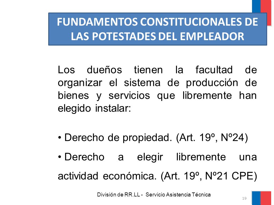 FUNDAMENTOS CONSTITUCIONALES DE LAS POTESTADES DEL EMPLEADOR