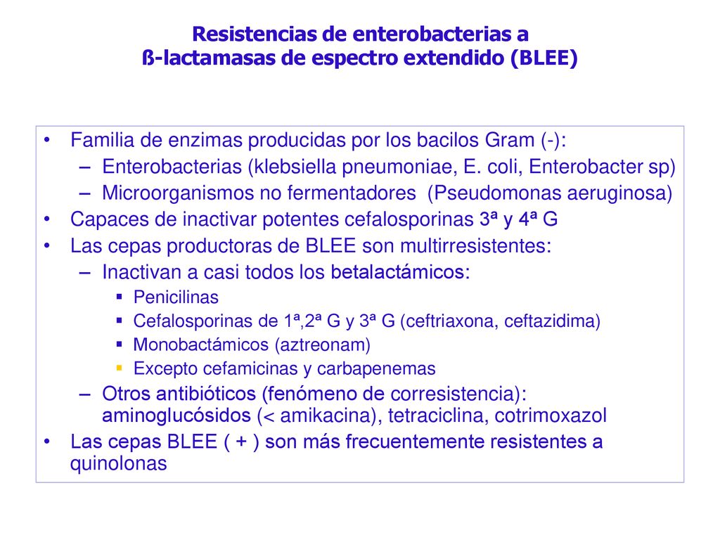 Familia de enzimas producidas por los bacilos Gram (-):