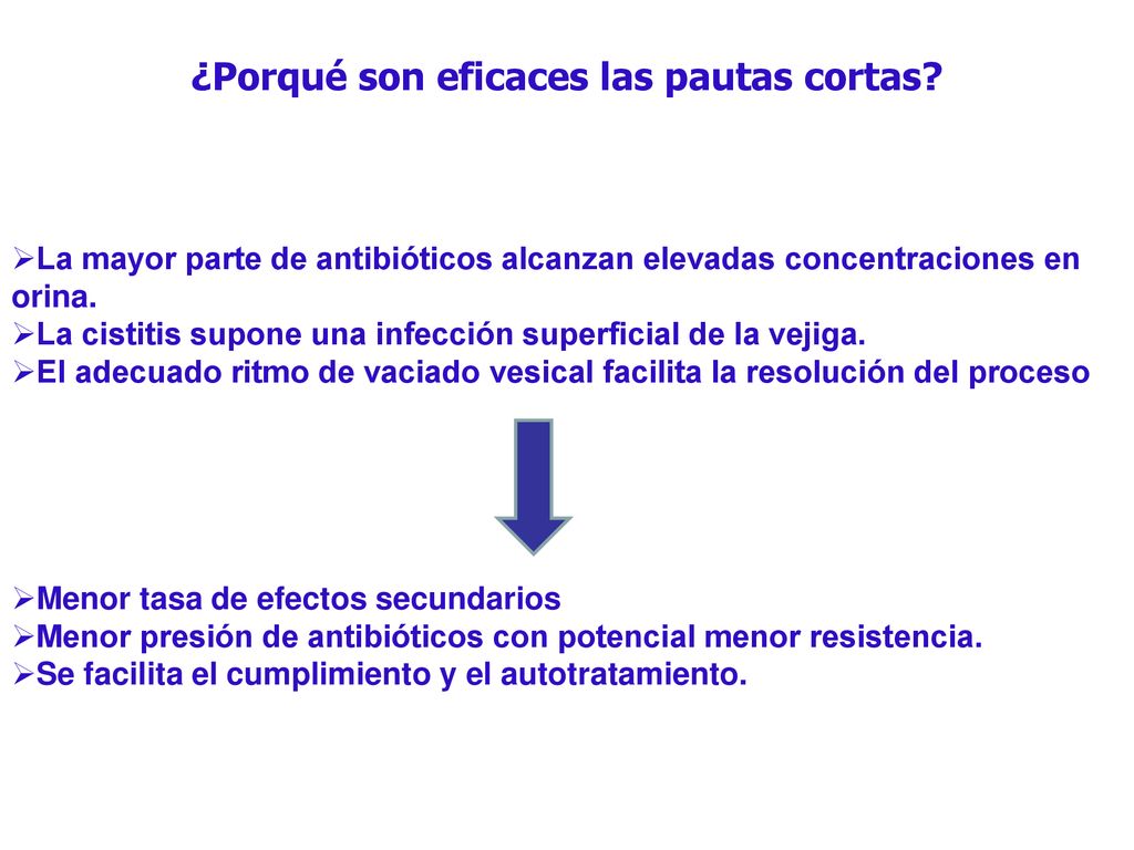 ¿Porqué son eficaces las pautas cortas
