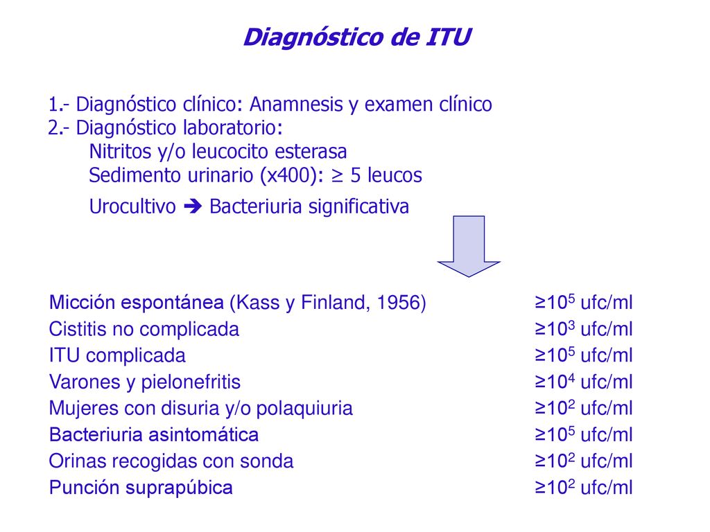 Diagnóstico de ITU 1.- Diagnóstico clínico: Anamnesis y examen clínico