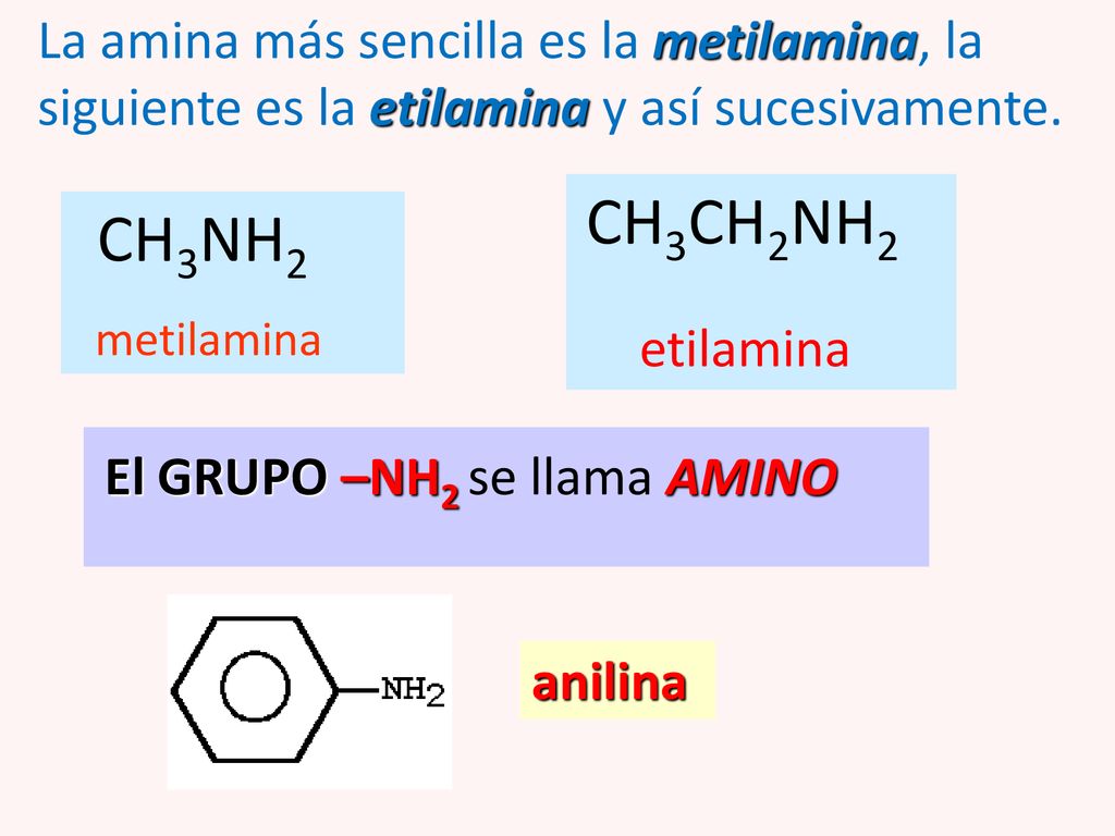 La amina más sencilla es la metilamina, la siguiente es la etilamina y así sucesivamente.