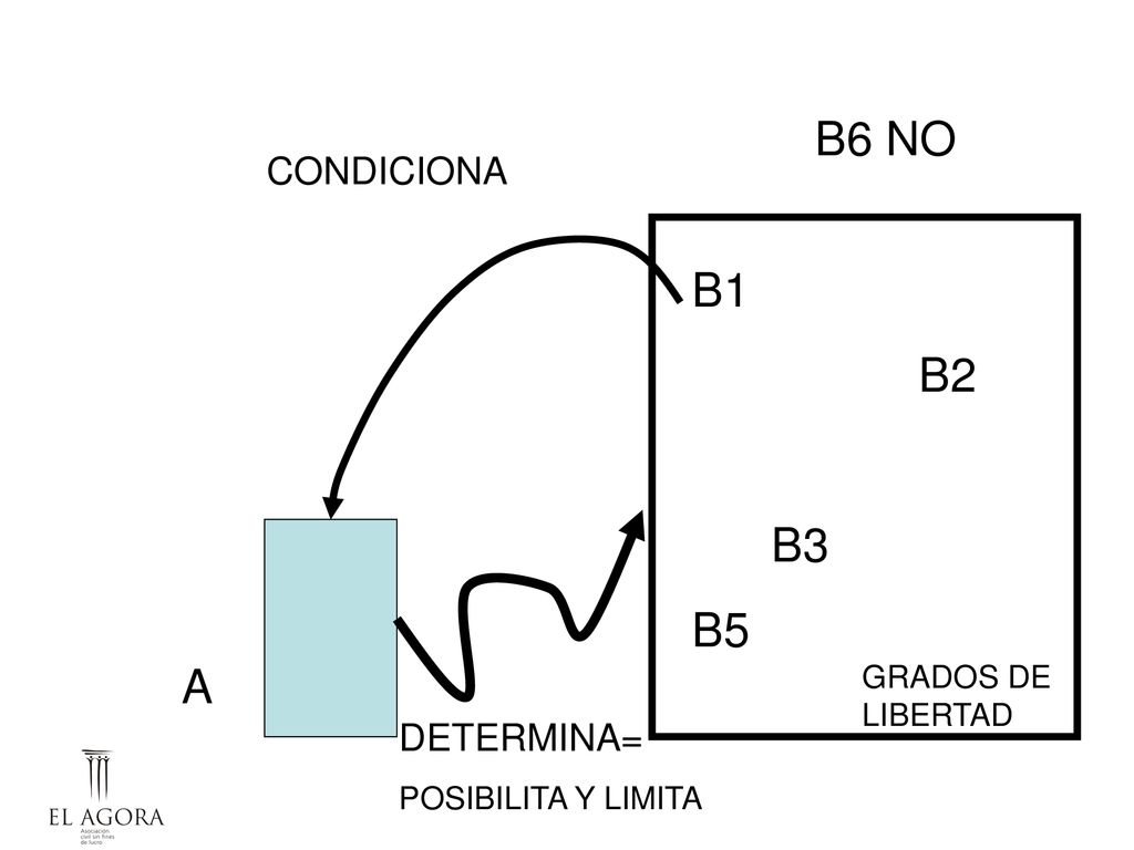 B6 NO B1 B2 B3 B5 A CONDICIONA DETERMINA= GRADOS DE LIBERTAD