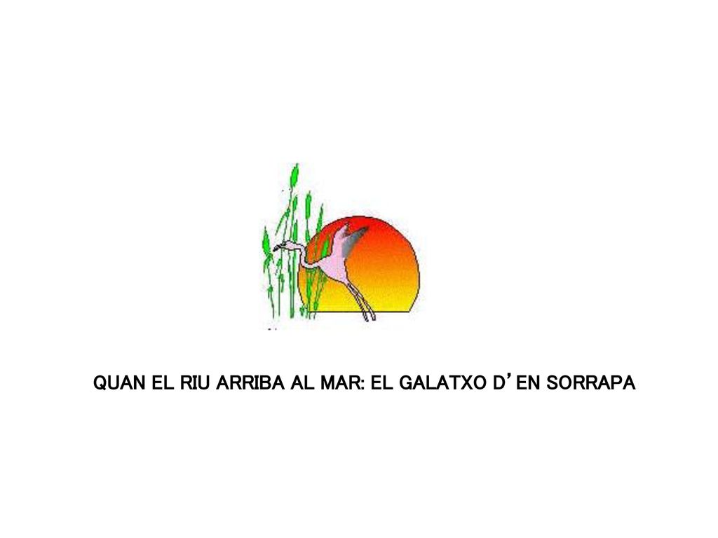 QUAN EL RIU ARRIBA AL MAR: EL GALATXO D’EN SORRAPA