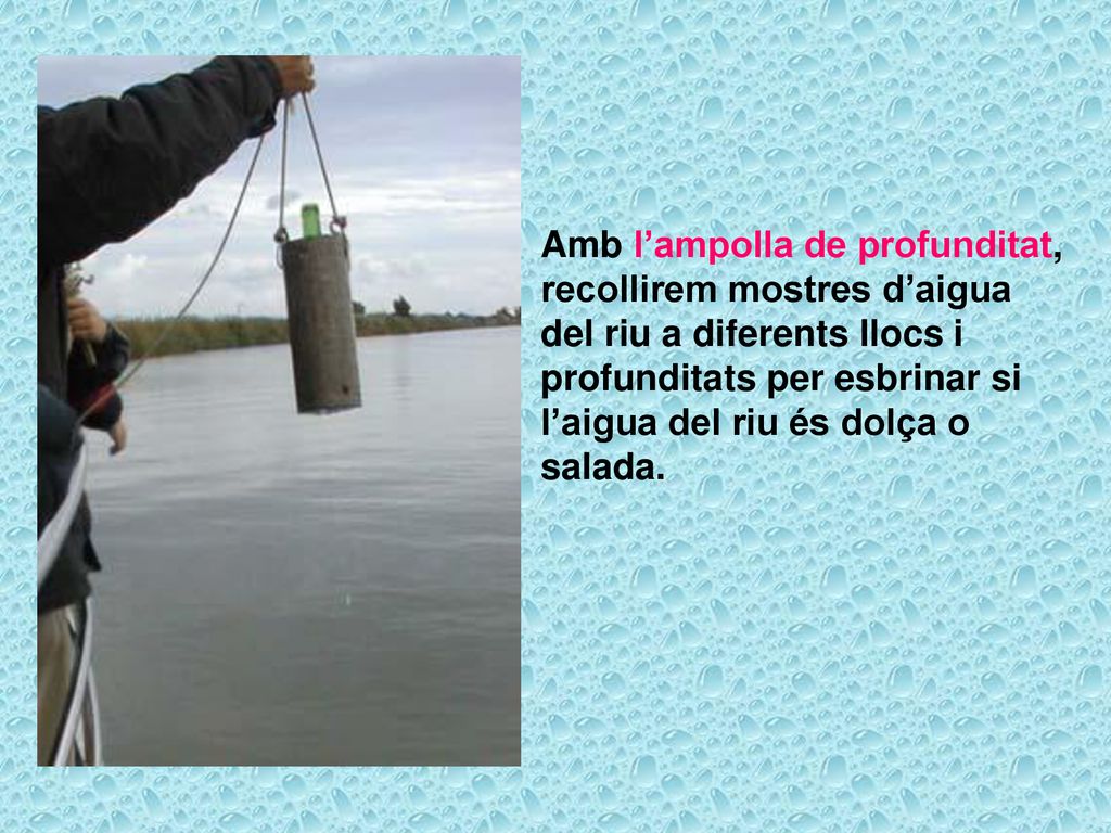 Amb l’ampolla de profunditat, recollirem mostres d’aigua del riu a diferents llocs i profunditats per esbrinar si l’aigua del riu és dolça o salada.