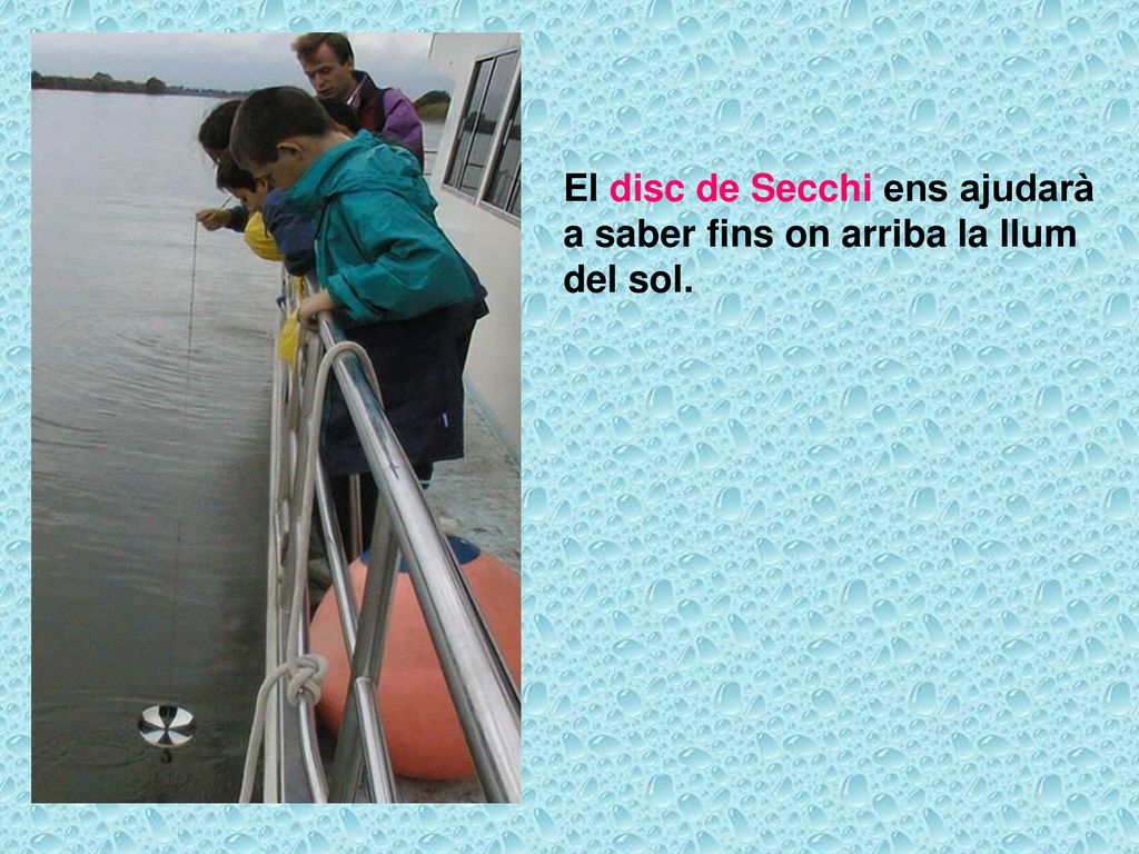 El disc de Secchi ens ajudarà a saber fins on arriba la llum del sol.