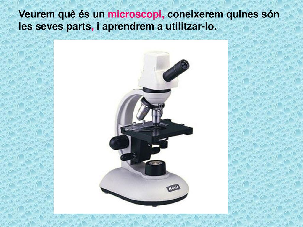 Veurem què és un microscopi, coneixerem quines són les seves parts, i aprendrem a utilitzar-lo.