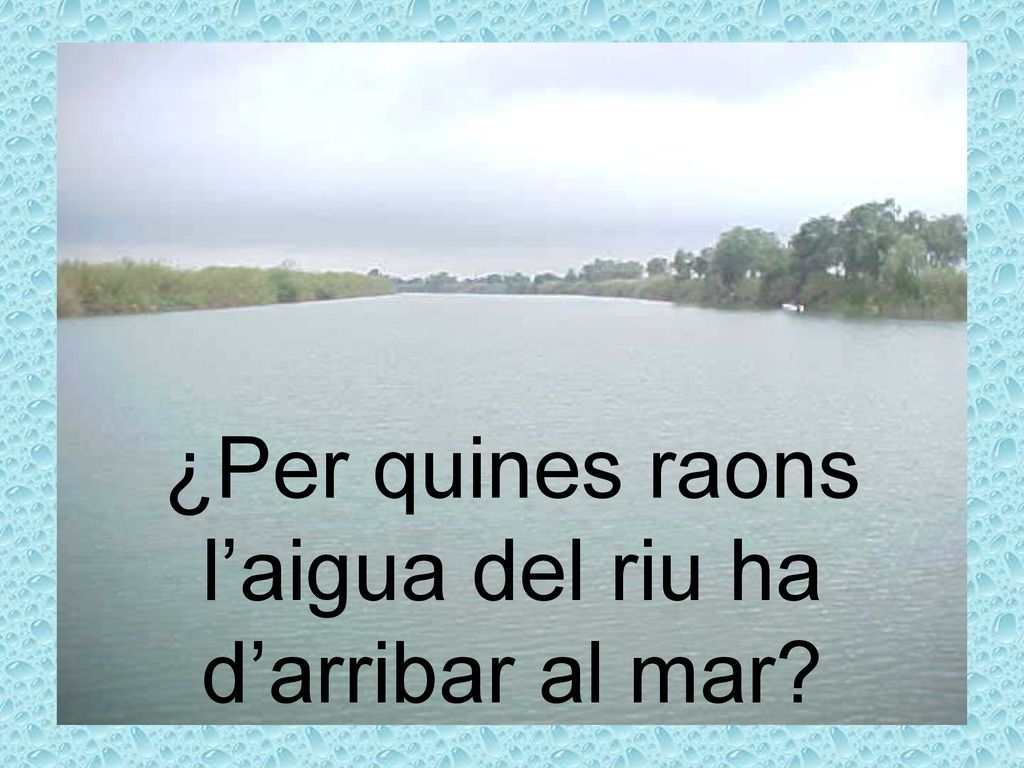 ¿Per quines raons l’aigua del riu ha d’arribar al mar
