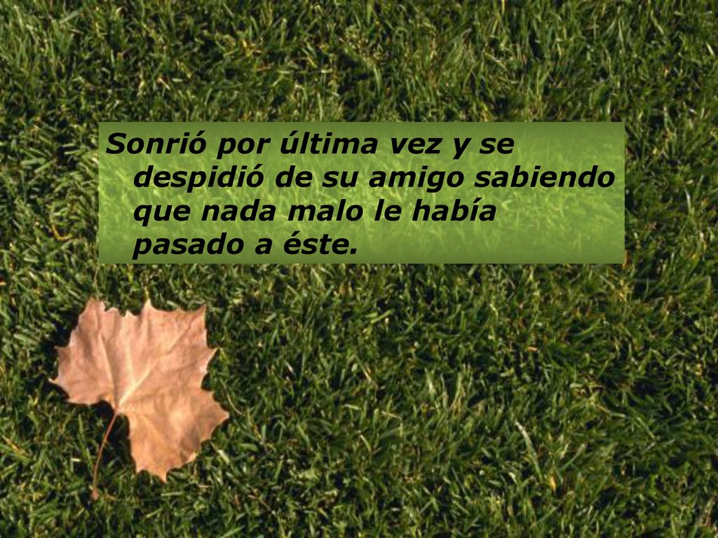 Sonrió por última vez y se despidió de su amigo sabiendo que nada malo le había pasado a éste.