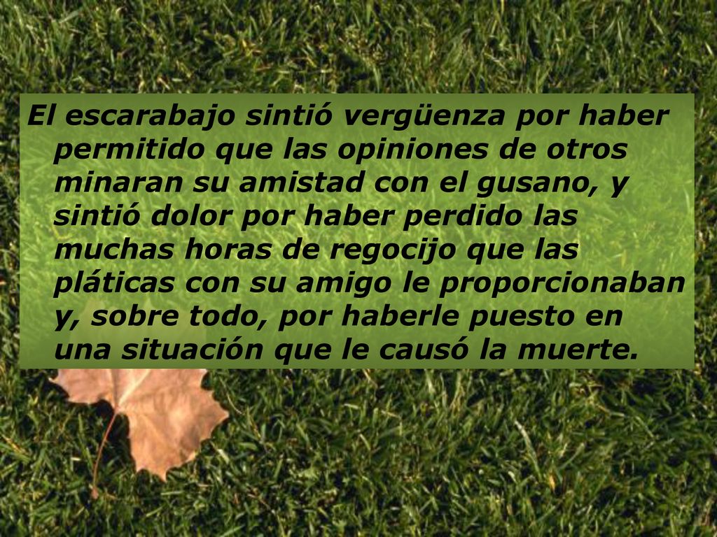 El escarabajo sintió vergüenza por haber permitido que las opiniones de otros minaran su amistad con el gusano, y sintió dolor por haber perdido las muchas horas de regocijo que las pláticas con su amigo le proporcionaban y, sobre todo, por haberle puesto en una situación que le causó la muerte.