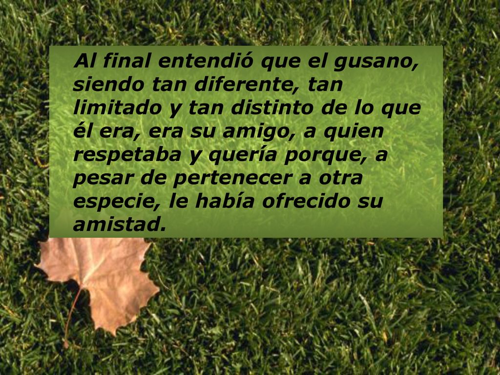 Al final entendió que el gusano, siendo tan diferente, tan limitado y tan distinto de lo que él era, era su amigo, a quien respetaba y quería porque, a pesar de pertenecer a otra especie, le había ofrecido su amistad.