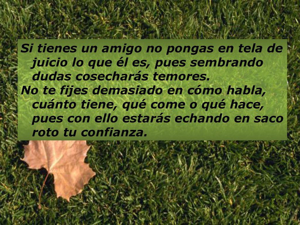 Si tienes un amigo no pongas en tela de juicio lo que él es, pues sembrando dudas cosecharás temores.