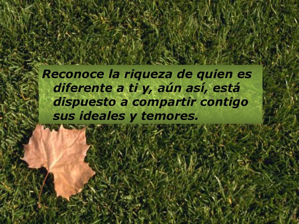 Reconoce la riqueza de quien es diferente a ti y, aún así, está dispuesto a compartir contigo sus ideales y temores.