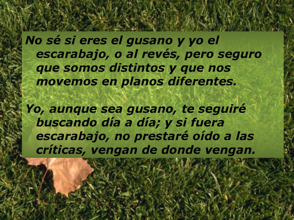 No sé si eres el gusano y yo el escarabajo, o al revés, pero seguro que somos distintos y que nos movemos en planos diferentes.