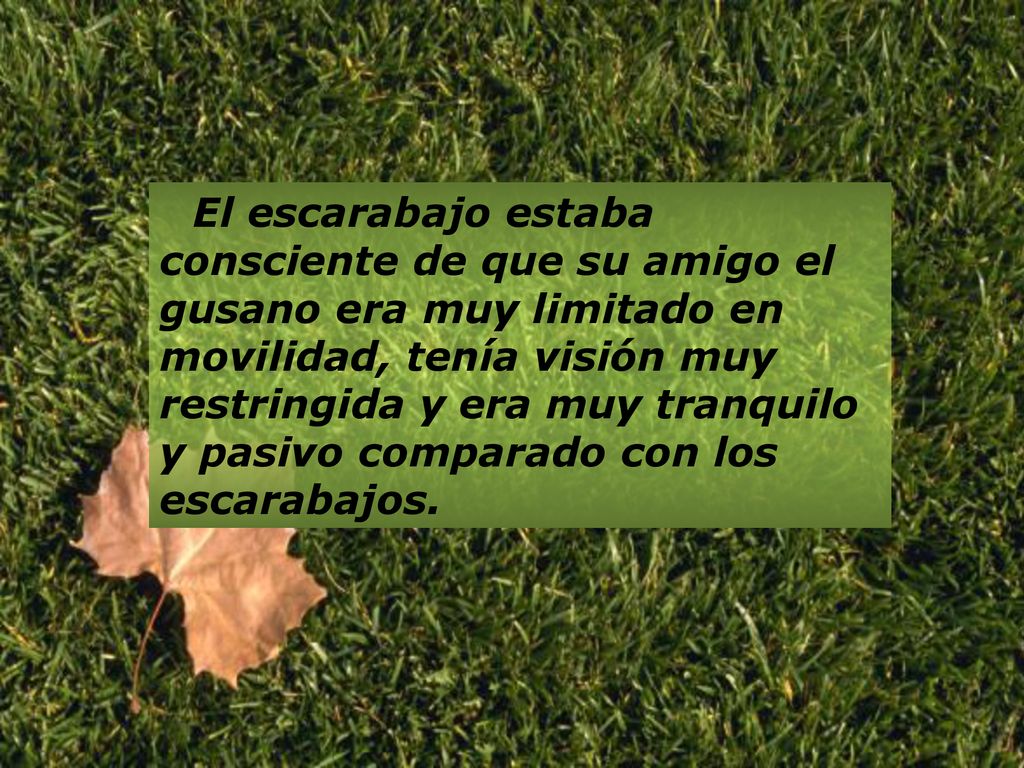 El escarabajo estaba consciente de que su amigo el gusano era muy limitado en movilidad, tenía visión muy restringida y era muy tranquilo y pasivo comparado con los escarabajos.