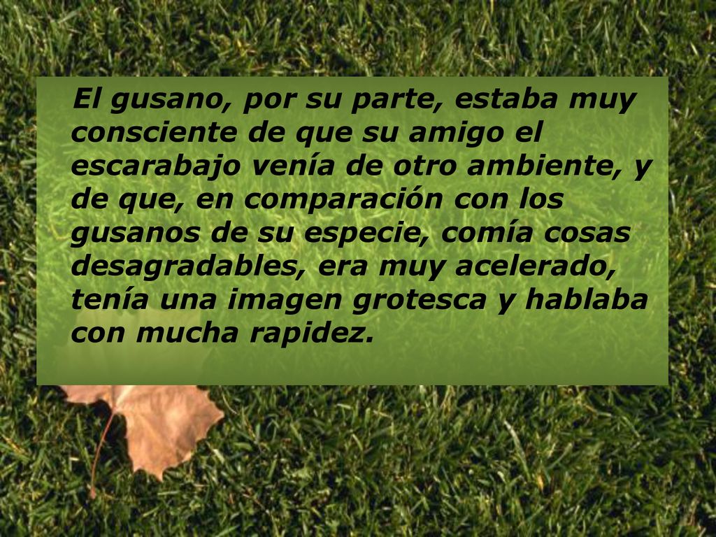 El gusano, por su parte, estaba muy consciente de que su amigo el escarabajo venía de otro ambiente, y de que, en comparación con los gusanos de su especie, comía cosas desagradables, era muy acelerado, tenía una imagen grotesca y hablaba con mucha rapidez.
