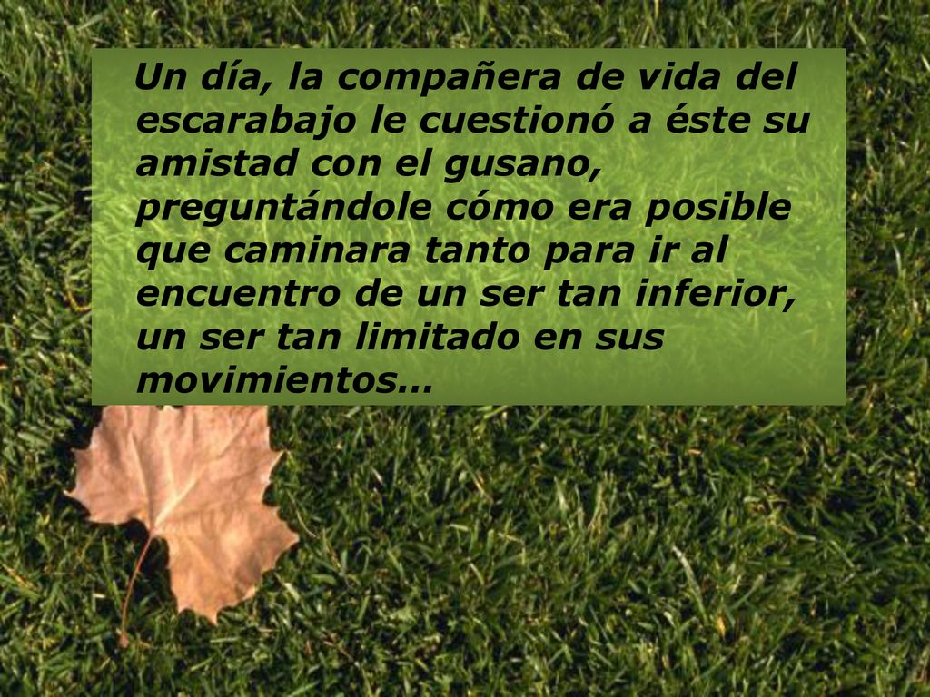 Un día, la compañera de vida del escarabajo le cuestionó a éste su amistad con el gusano, preguntándole cómo era posible que caminara tanto para ir al encuentro de un ser tan inferior, un ser tan limitado en sus movimientos…