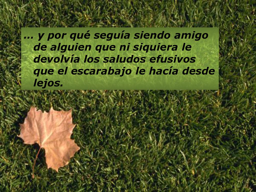 … y por qué seguía siendo amigo de alguien que ni siquiera le devolvía los saludos efusivos que el escarabajo le hacía desde lejos.