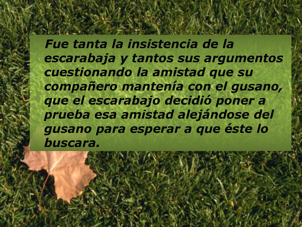 Fue tanta la insistencia de la escarabaja y tantos sus argumentos cuestionando la amistad que su compañero mantenía con el gusano, que el escarabajo decidió poner a prueba esa amistad alejándose del gusano para esperar a que éste lo buscara.
