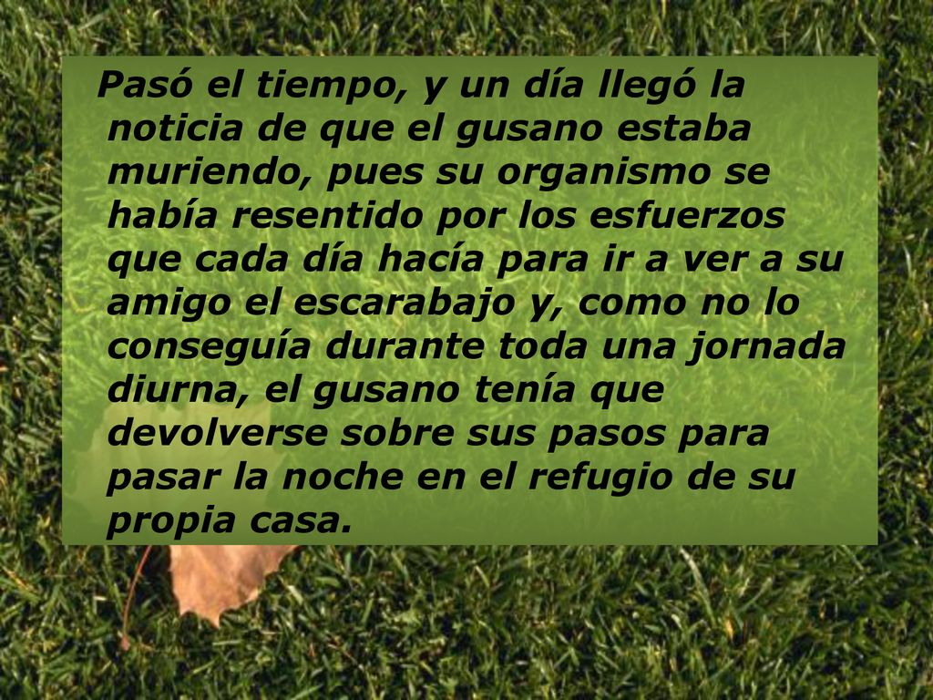 Pasó el tiempo, y un día llegó la noticia de que el gusano estaba muriendo, pues su organismo se había resentido por los esfuerzos que cada día hacía para ir a ver a su amigo el escarabajo y, como no lo conseguía durante toda una jornada diurna, el gusano tenía que devolverse sobre sus pasos para pasar la noche en el refugio de su propia casa.