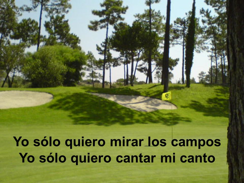 Yo sólo quiero mirar los campos Yo sólo quiero cantar mi canto