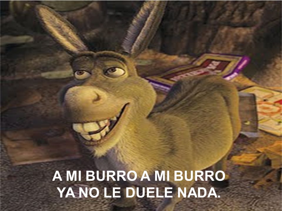 A MI BURRO A MI BURRO YA NO LE DUELE NADA.
