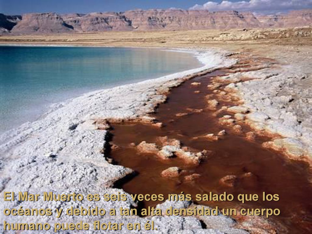 El Mar Muerto es seis veces más salado que los océanos y debido a tan alta densidad un cuerpo humano puede flotar en él.