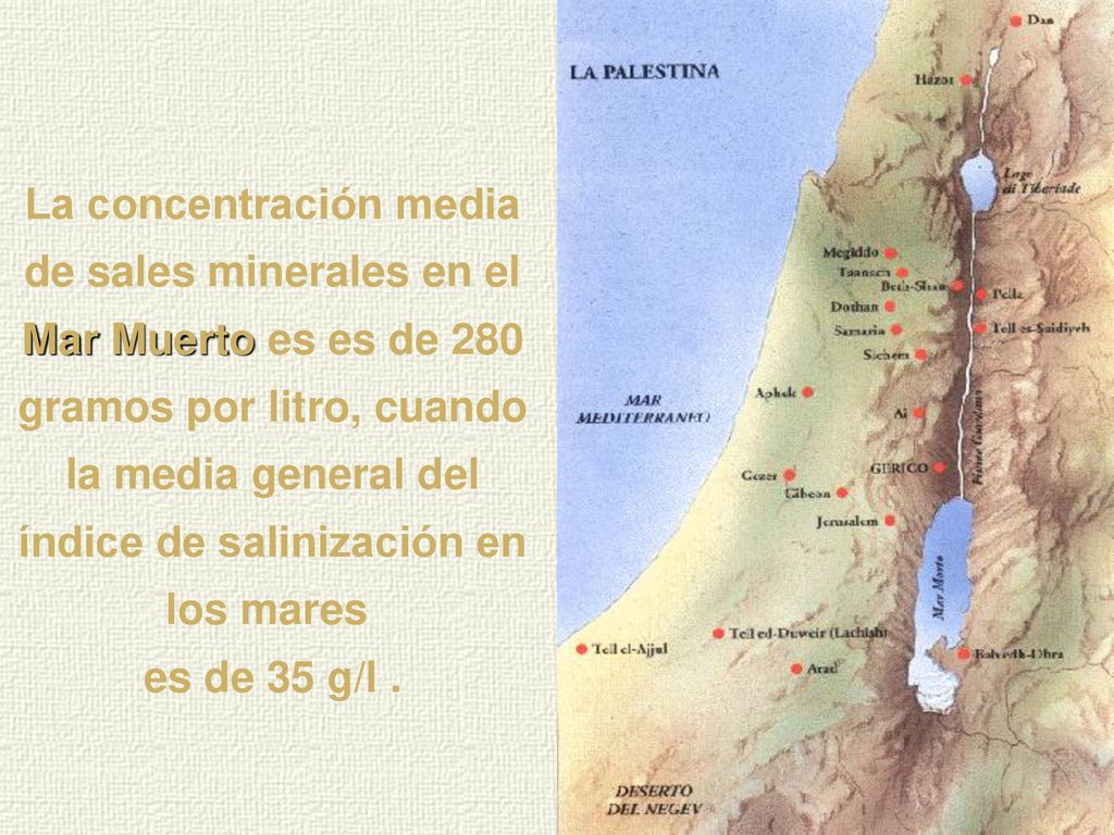 La concentración media de sales minerales en el Mar Muerto es es de 280 gramos por litro, cuando la media general del índice de salinización en los mares