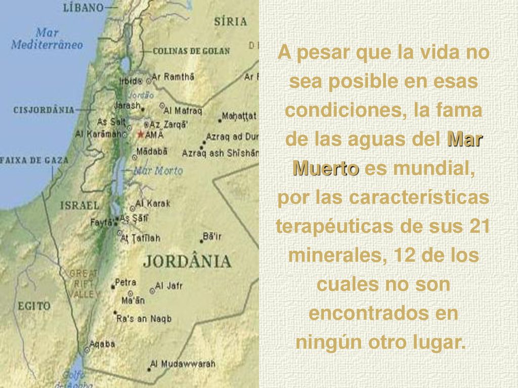 A pesar que la vida no sea posible en esas condiciones, la fama de las aguas del Mar Muerto es mundial, por las características terapéuticas de sus 21 minerales, 12 de los cuales no son encontrados en ningún otro lugar.