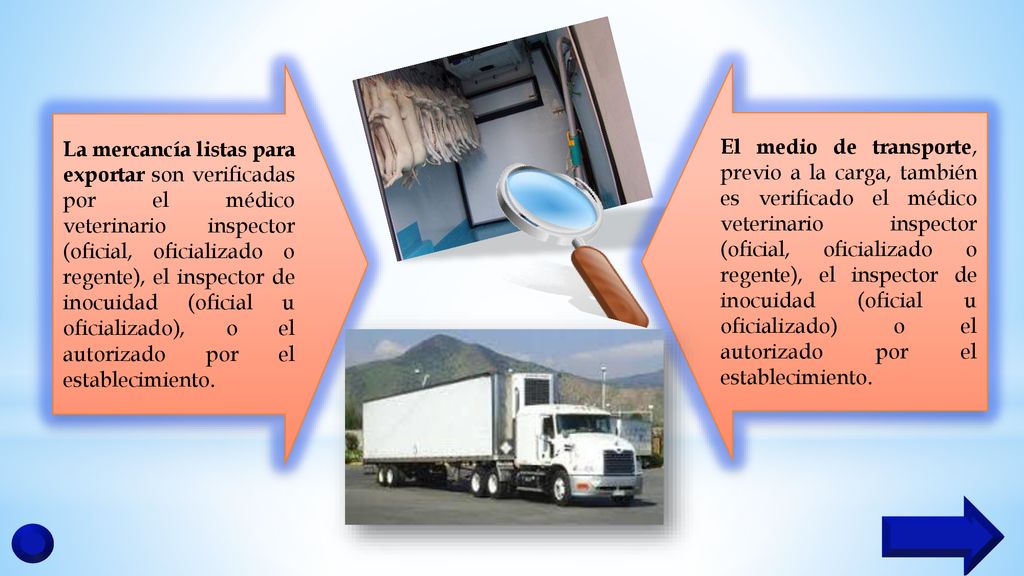 La mercancía listas para exportar son verificadas por el médico veterinario inspector (oficial, oficializado o regente), el inspector de inocuidad (oficial u oficializado), o el autorizado por el establecimiento.