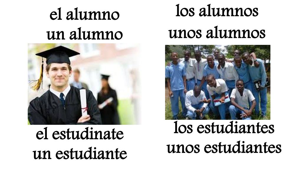 los alumnos unos alumnos. el alumno. un alumno. los estudiantes. unos estudiantes. el estudinate.