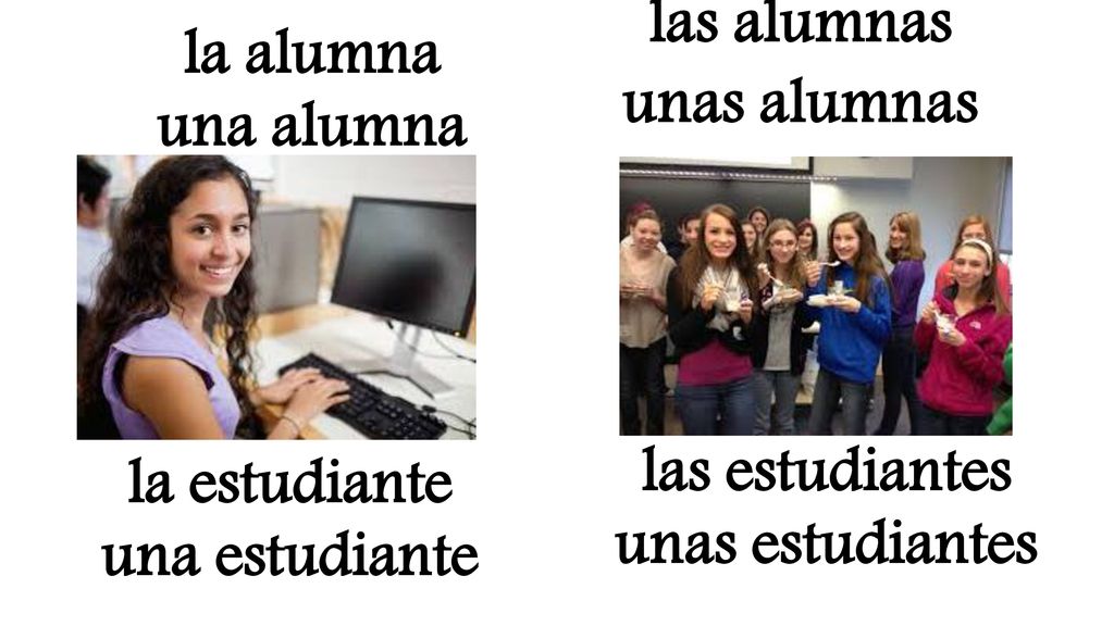las alumnas unas alumnas. la alumna. una alumna. las estudiantes. unas estudiantes. la estudiante.