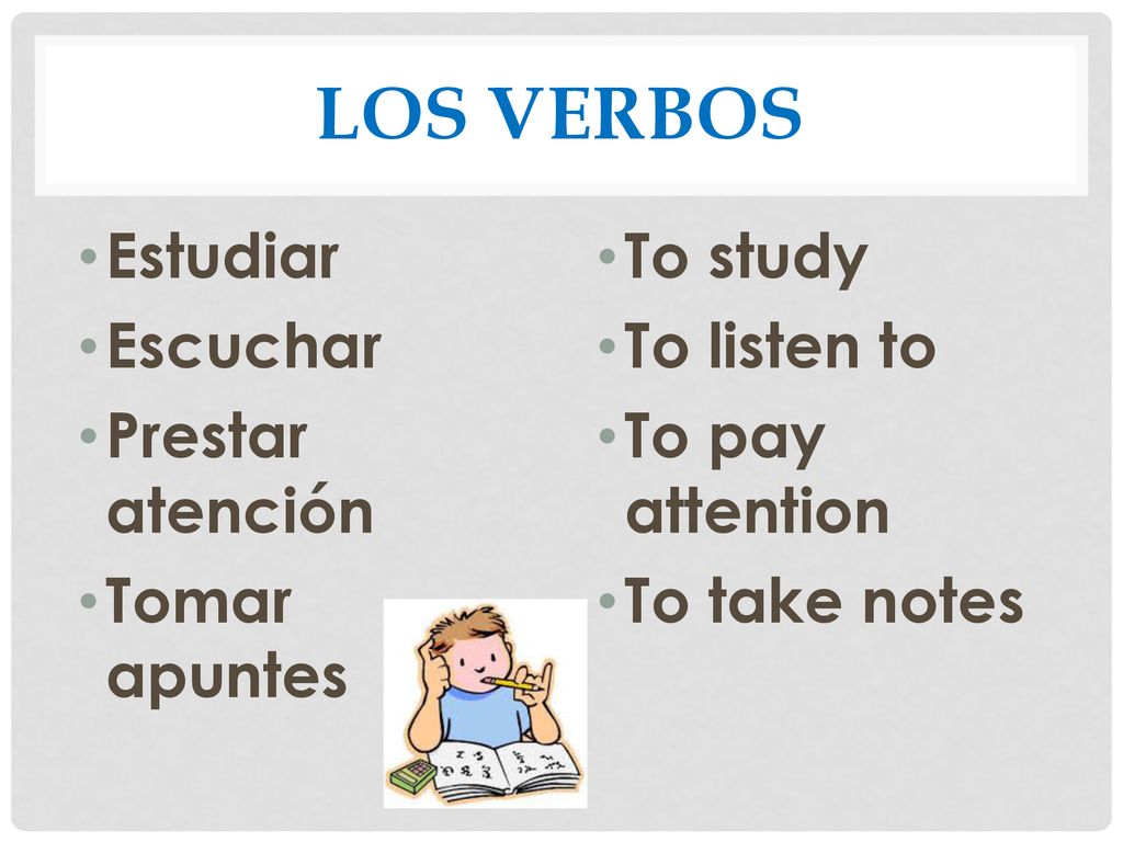 Los Verbos Estudiar Escuchar Prestar atención Tomar apuntes To study