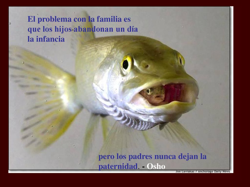 El problema con la familia es que los hijos abandonan un día la infancia