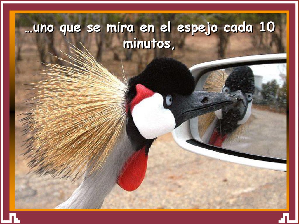 …uno que se mira en el espejo cada 10 minutos,