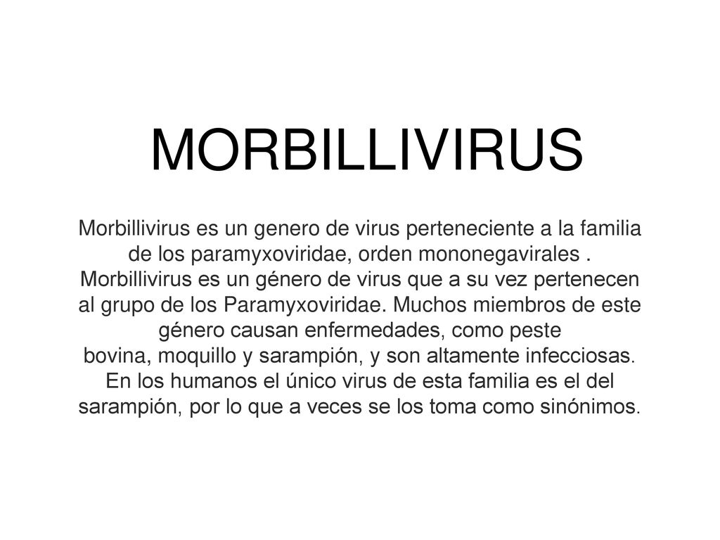 MORBILLIVIRUS Morbillivirus es un genero de virus perteneciente a la familia de los paramyxoviridae, orden mononegavirales .