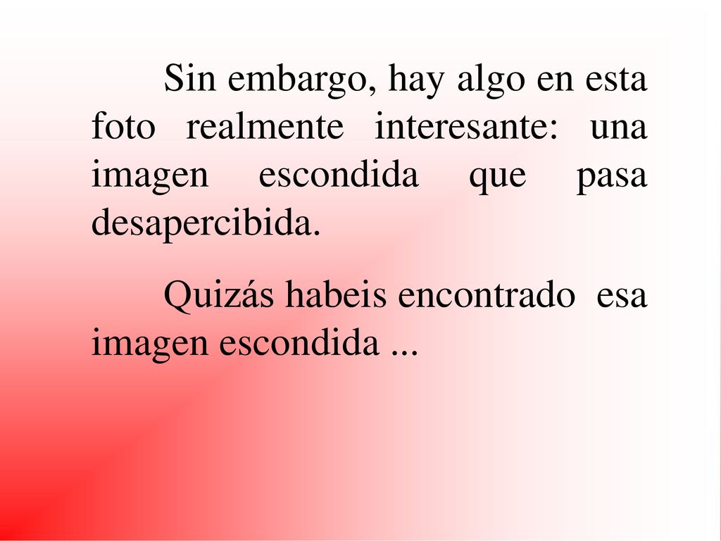 Sin embargo, hay algo en esta foto realmente interesante: una imagen escondida que pasa desapercibida.