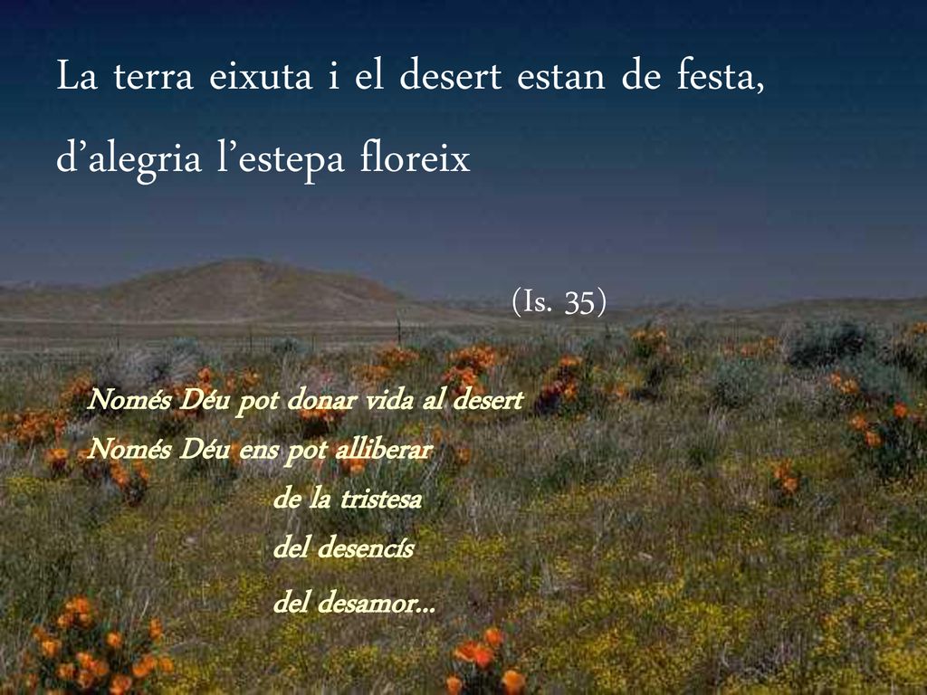 La terra eixuta i el desert estan de festa, d’alegria l’estepa floreix