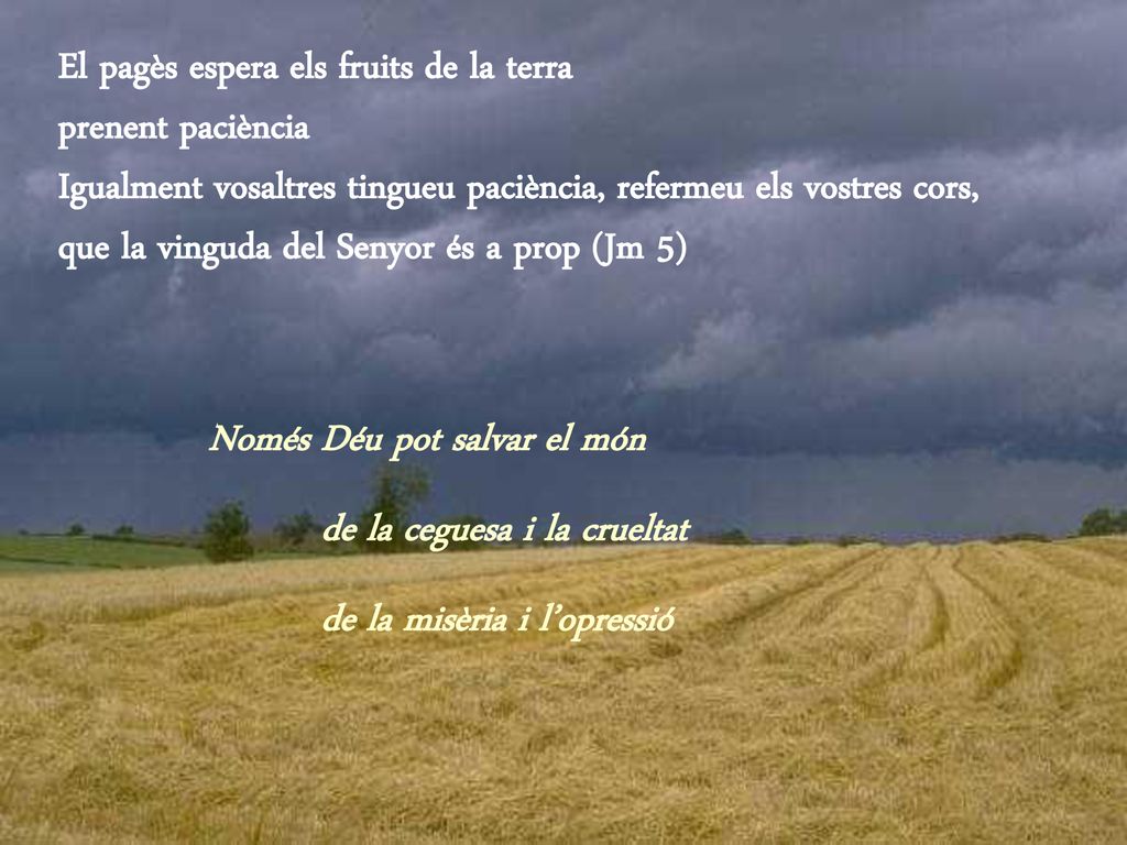 El pagès espera els fruits de la terra prenent paciència Igualment vosaltres tingueu paciència, refermeu els vostres cors, que la vinguda del Senyor és a prop (Jm 5)