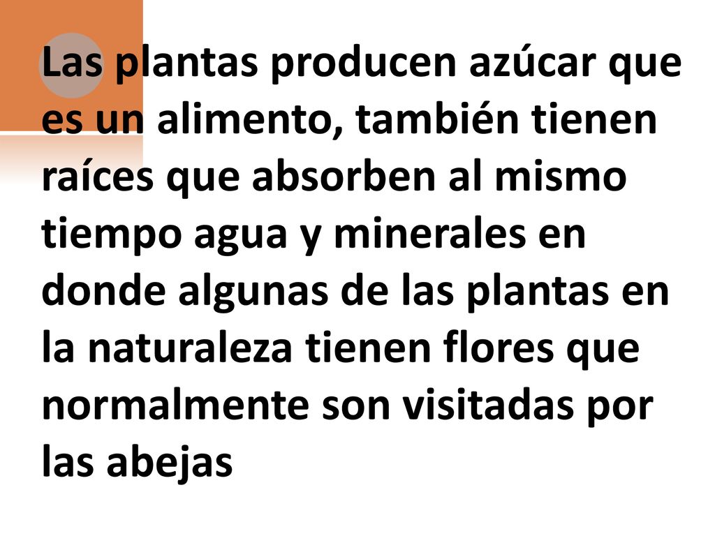 Las plantas producen azúcar que es un alimento, también tienen raíces que absorben al mismo tiempo agua y minerales en donde algunas de las plantas en la naturaleza tienen flores que normalmente son visitadas por las abejas