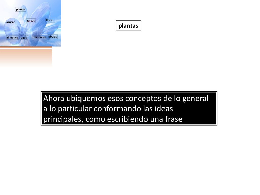 plantas Ahora ubiquemos esos conceptos de lo general a lo particular conformando las ideas principales, como escribiendo una frase.