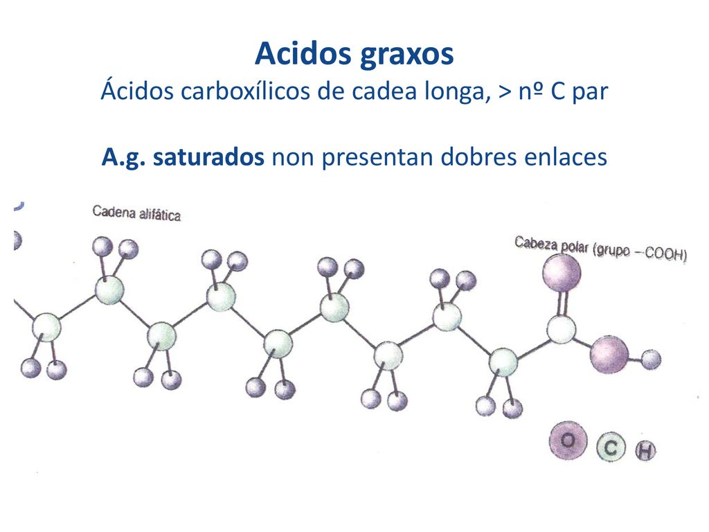 Acidos graxos Ácidos carboxílicos de cadea longa, > nº C par A. g