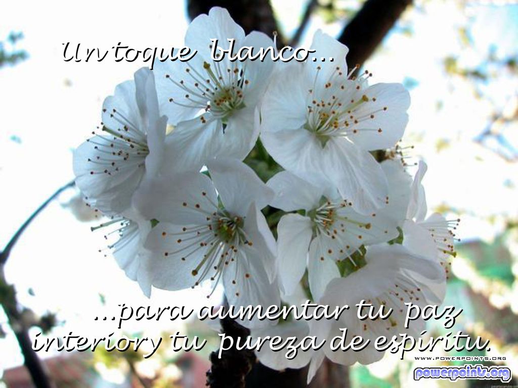 ...para aumentar tu paz interiory tu pureza de espíritu.