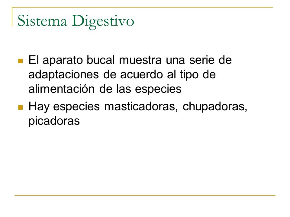 Sistema Digestivo El aparato bucal muestra una serie de adaptaciones de acuerdo al tipo de alimentación de las especies.