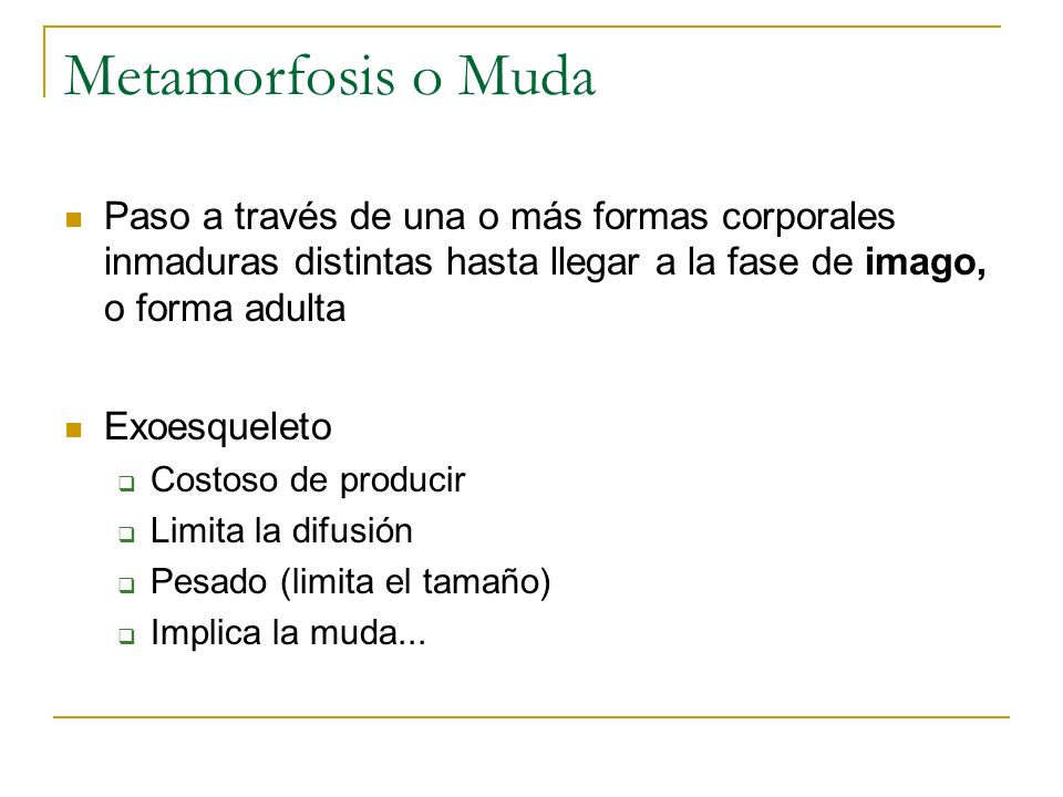 Metamorfosis o Muda Paso a través de una o más formas corporales inmaduras distintas hasta llegar a la fase de imago, o forma adulta.