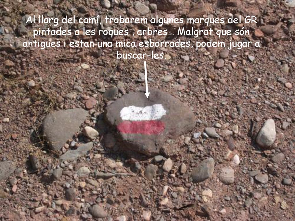 Al llarg del camí, trobarem algunes marques del GR pintades a les roques , arbres… Malgrat que són antigues i estan una mica esborrades, podem jugar a buscar-les.