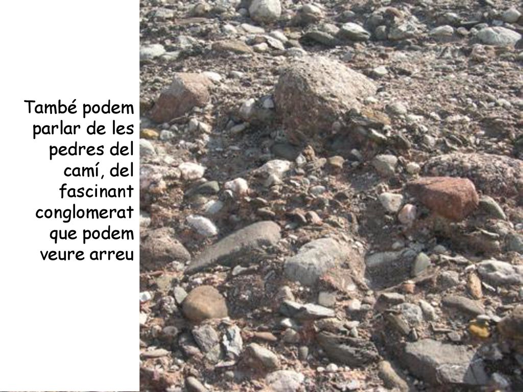 També podem parlar de les pedres del camí, del fascinant conglomerat que podem veure arreu