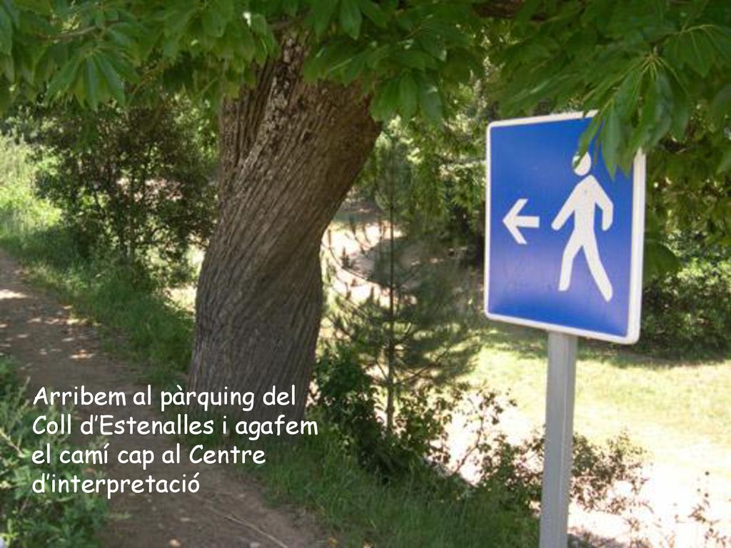 Arribem al pàrquing del Coll d’Estenalles i agafem el camí cap al Centre d’interpretació