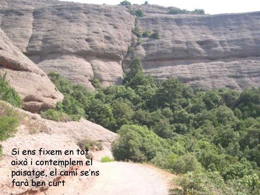 Si ens fixem en tot això i contemplem el paisatge, el camí se’ns farà ben curt