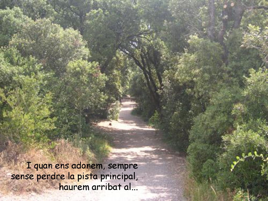 I quan ens adonem, sempre sense perdre la pista principal, haurem arribat al...