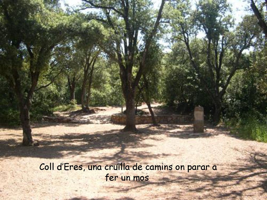 Coll d’Eres, una cruïlla de camins on parar a fer un mos